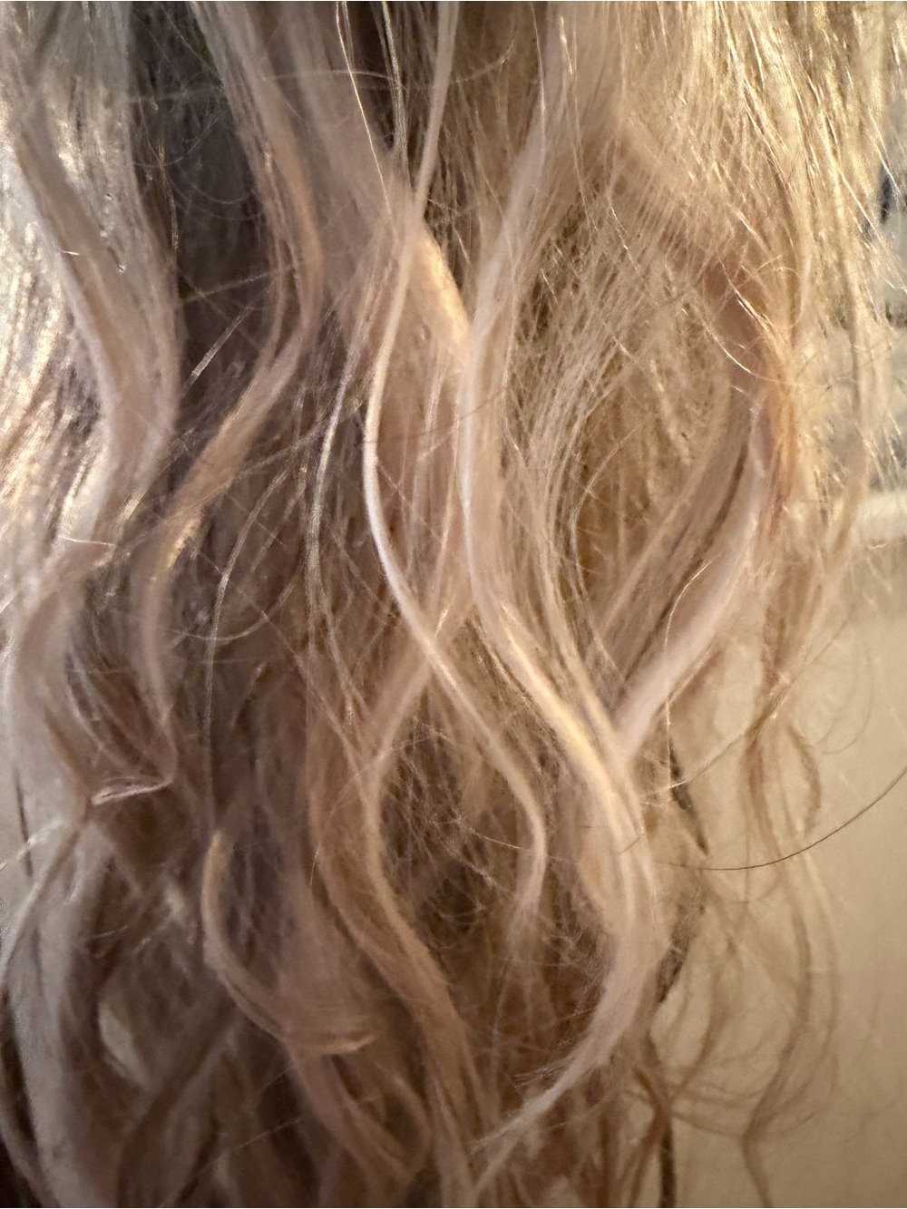 Long Wavy Women's Wig - Ash Blonde Balayage STACY’S WIGS  KENNA in CASHMERE Bld - Picture 3 of 5